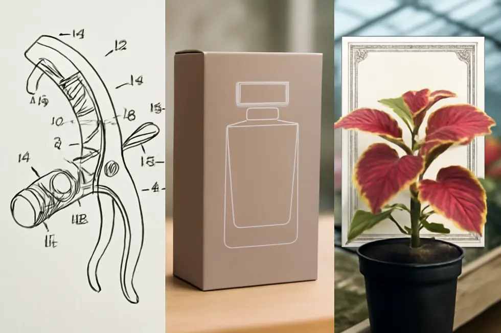 Overview illustration of Utility, Design, and Plant patents highlighting their differences and purposes.