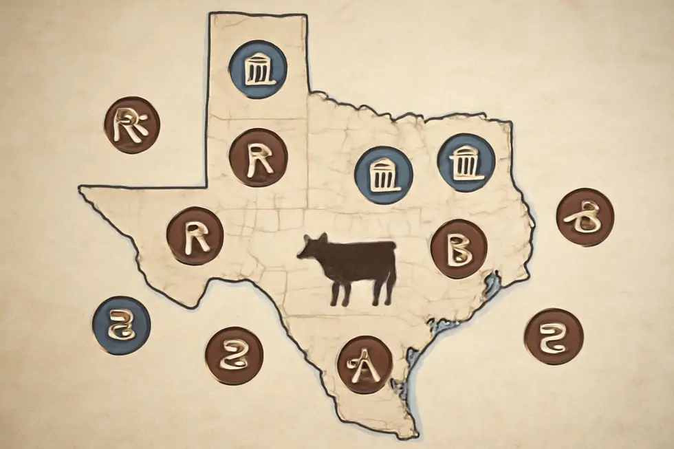 An infographic depicting the county-level brand registration process in Texas, emphasizing local authority.