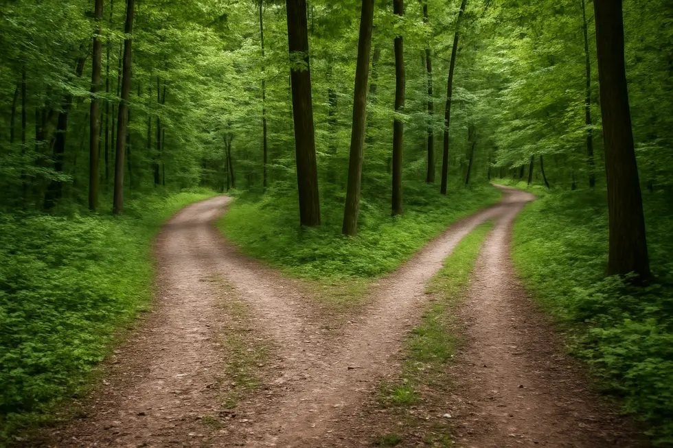 Visual representation of the scope of state and federal trademark protections.